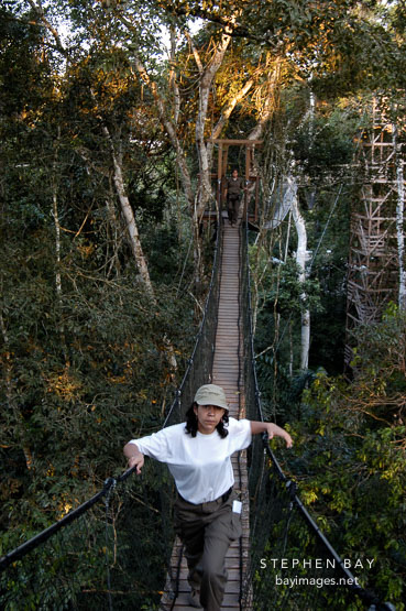 Walking a jungle canopy bridge. Amazon, Peru
