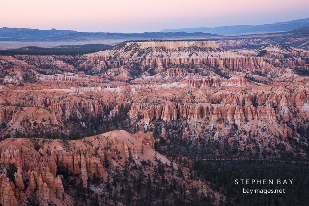 Forest and Hoodoos seen from Bryce Point. Bryce Canyon NP, Utah.