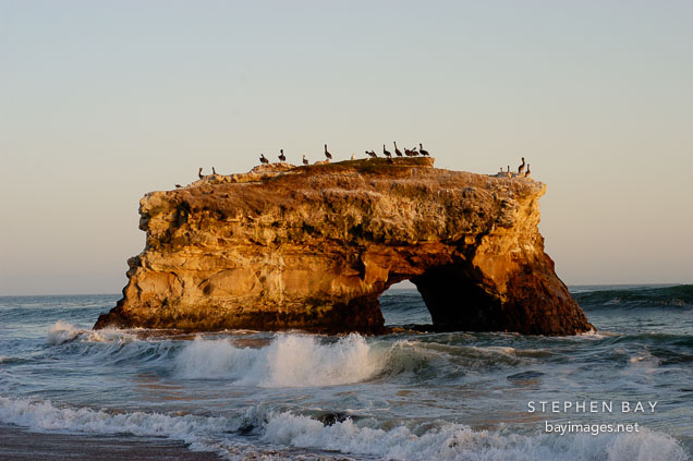 Natural bridges state beach at sunset, California, USA.