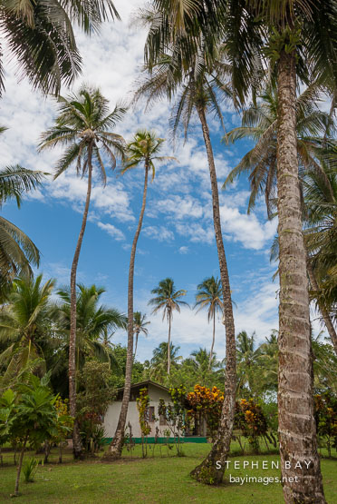 House. Tortuguero village, Costa Rica.