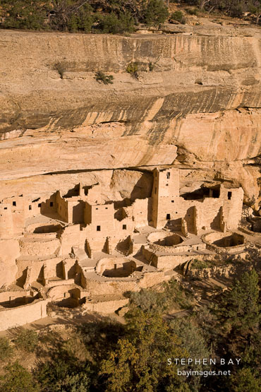 Warm afternoon light on Cliff Palace. Mesa Verde, Colorado.