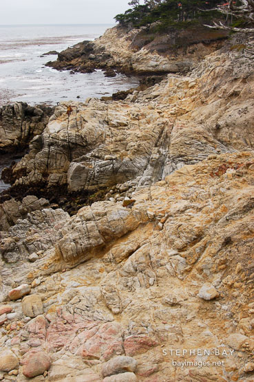 Rocky shoreline, 17-Mile drive, California, USA.