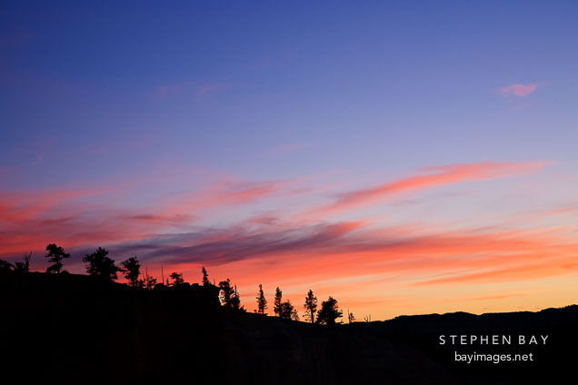 Silhouette of trees on the Canyon walls at sunset. Bryce Canyon NP, Utah.