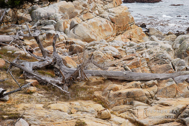 Rocky shoreline, 17-Mile drive, California, USA.