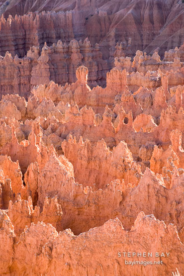 Backlit hoodoos. Sunset Point, Bryce Canyon NP, Utah.
