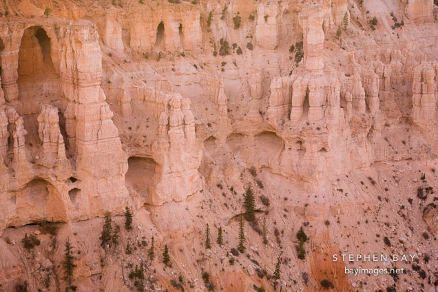Erosion on the wall of the Canyon Amphitheatre. Bryce Canyon NP, Utah.