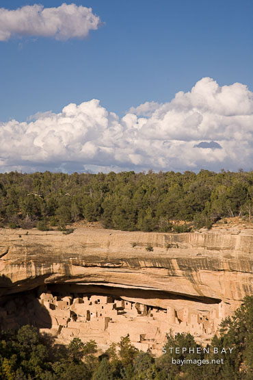 Cliff Palace is protected by an overhanging rock face. Mesa Verde, Colorado.