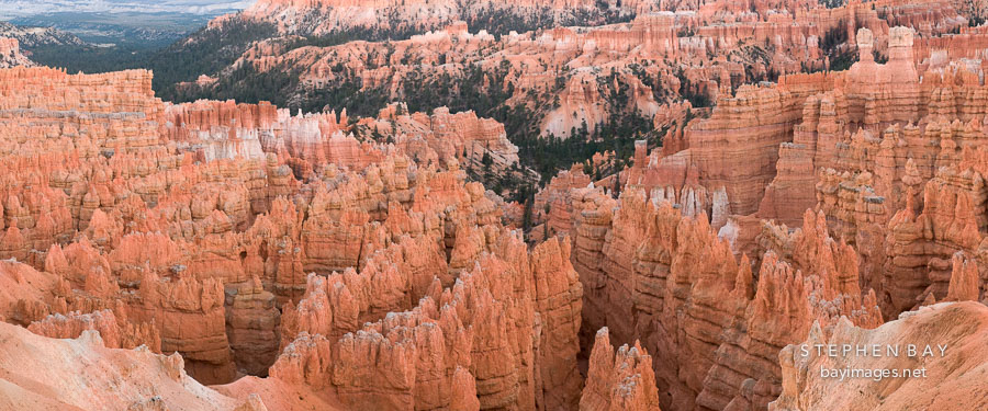 Panorama of Bryce Amphitheater taken near Sunset Point. Bryce Canyon NP, Utah.