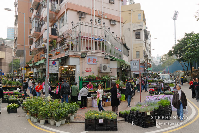 Flower Market. Mong Kok, Hong Kong.