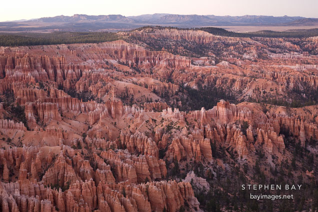 Bryce Canyon Ampitheathre as seen from Bryce Point. Bryce Canyon NP, Utah.