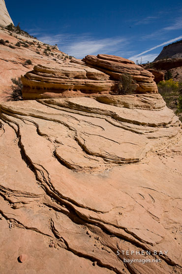 Sandstone in Zion Plateau. Zion NP, Utah.