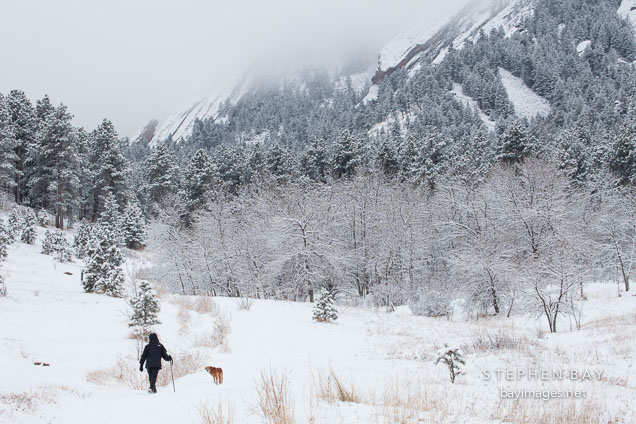Man walking dog in  Chatauqua Park during the winter. Boulder, Colorado.