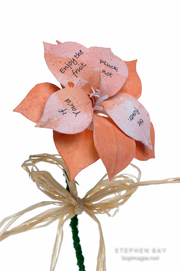Flower book by Karin Schulz.