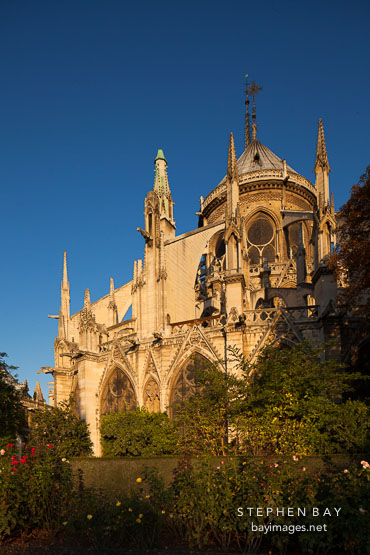 East side of Notre Dame Cathedral at sunrise. Paris, France.