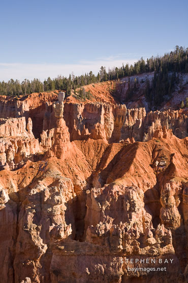 Emerging hoodoos from the cliff walls. Bryce Canyon NP, Utah.
