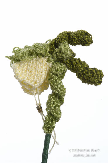Flower book by Laura Mappin.