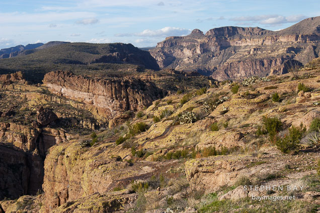 Fish Creek Hill, Tonto National Forest. Apache Trail, Arizona, USA.