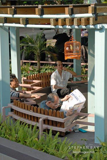 Old men and bird in cage. Aberdeen, Hong Kong, China.