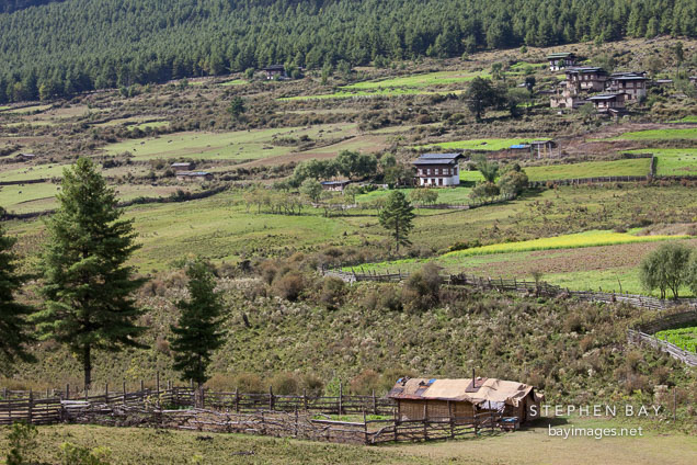 Fields and farmhouses in Phobjikha Valley, Bhutan.