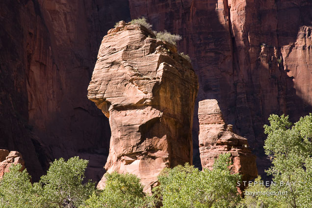 Preacher and the Pulpit. Temple of Sinawava, Zion NP, Utah.