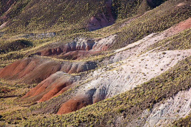 Close-up of Painted Desert hills. Petrified Forest NP, Arizona.