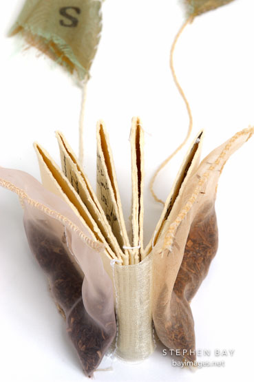 Flower book by Linda Powers.