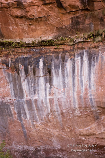 Mineral deposits from seeping water. Zion NP, Utah.