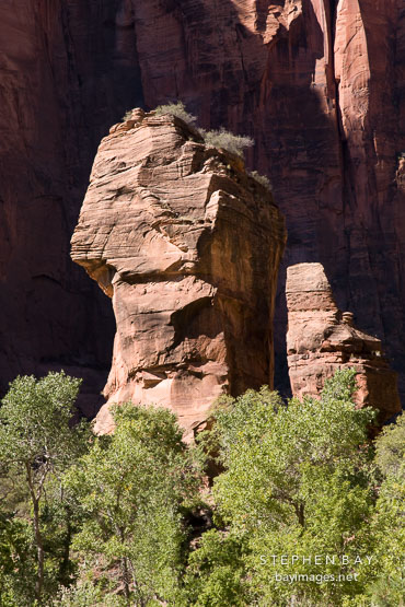 Afternoon light on the Preacher and Pulpit. Temple of Sinawava, Zion NP, Utah.