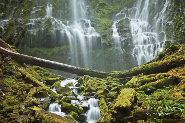 Mossy rocks at the base of Lower Proxy Falls. Oregon.