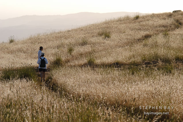 Hikers at Russian Ridge Open Space Preserve. California, USA.