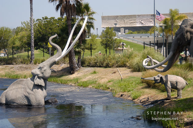 Mastodon and calf. La Brea tar pits. Los Angeles, California, USA.