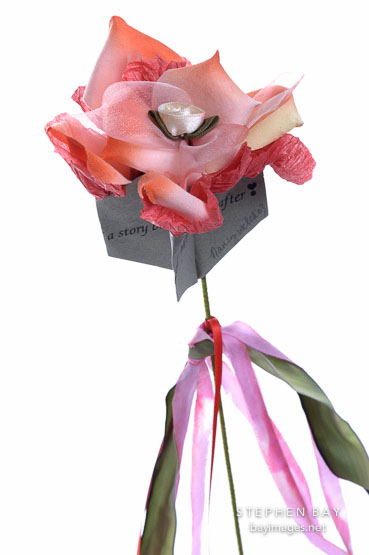 Flower book by Nancy Welch.