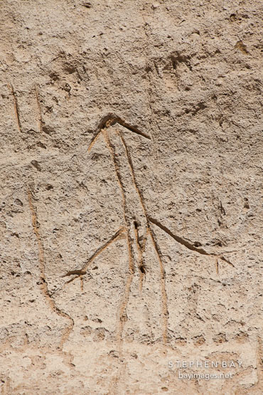 Anthropomorphic petroglyph. Petroglyph Point, California.