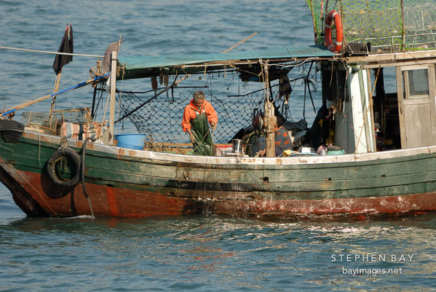 Fisherman pulling up catch. Victoria Harbor, Hong Kong, China.
