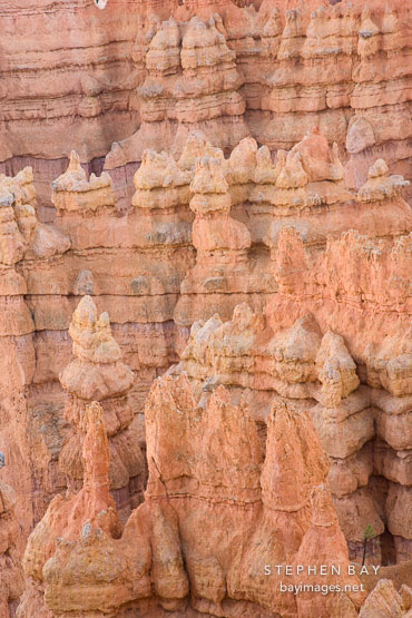Hoodoos in Bryce Amphithatre. Bryce Canyon NP, Utah.