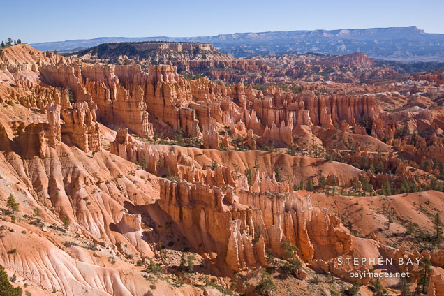 Early morning at Queen's Garden. Bryce Canyon NP, Utah.