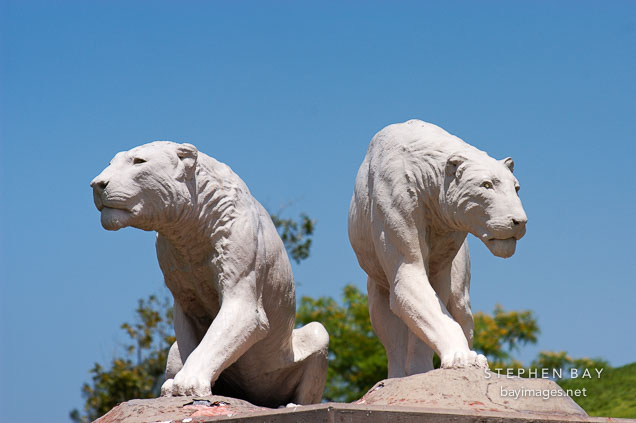 Sabretooth tigers. Los Angeles, California, USA.