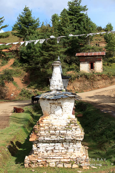 Stupa near Gangte Goemba. Phobjikha Valley, Bhutan.