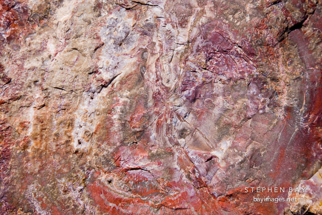 Close-up of petrified wood shows colorful crystal patterns. Petrified Forest NP, Arizona.