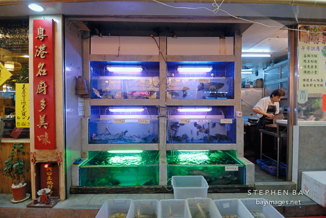 Live fish available for consumption. Hong Kong, China.