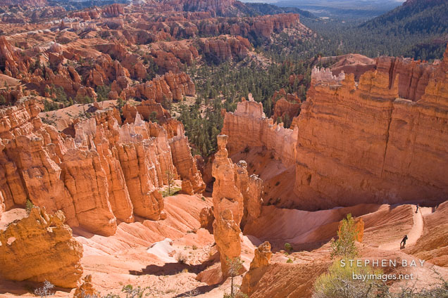The Navajo Trail passes by Thor's Hammer. Bryce Canyon NP, Utah.