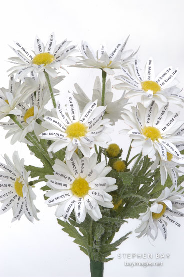 Flower book by Peng-Peng Wang