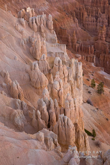 Hoodoos forming near Inspiration Point. Bryce Canyon NP, Utah.
