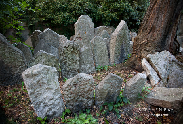 Rows of gravestones. Old Jewish Cemetery, Prague, Czech Republic.