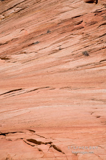 Close-up of sandstone striations. Zion Plateau, Zion NP, Utah.