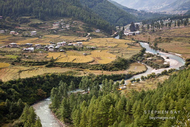 Wang chhu river and rice fields in Thimphu valley, Bhutan.