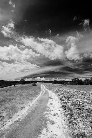 Arastradero preserve. Palo Alto, California, USA.