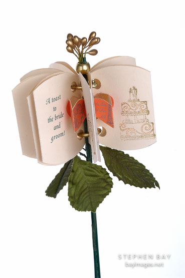 Flower book by Penny Nii.