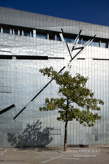 Tree in front of Jewish Museum. Berlin, Germany.