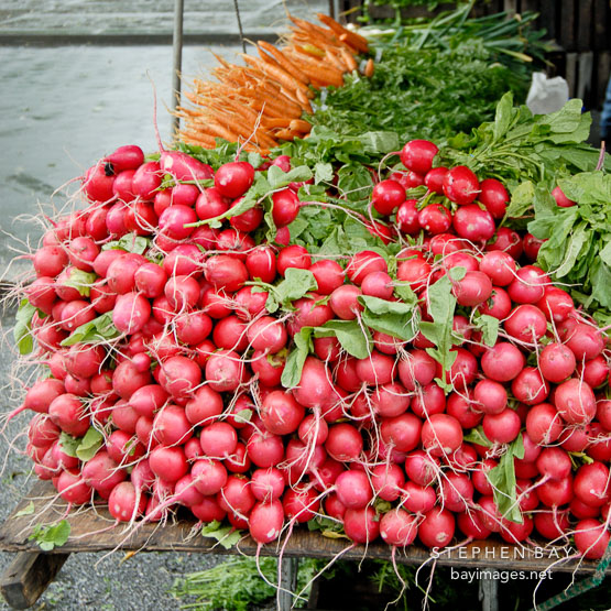 Beets at the farmers' market. Union Square, New York City, New York, USA.